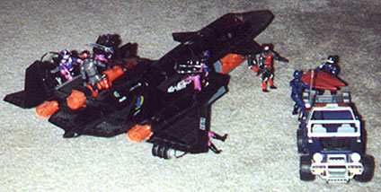raven 2.JPG (37695 bytes)