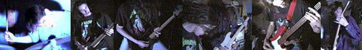 Strobe Thrashin Action.JPG (20841 bytes)