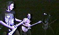 live0.jpg (6624 bytes)