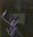 live26.jpg (2916 bytes)